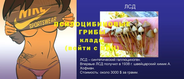 винт Богородицк