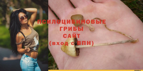 PSILOCYBIN Богородск