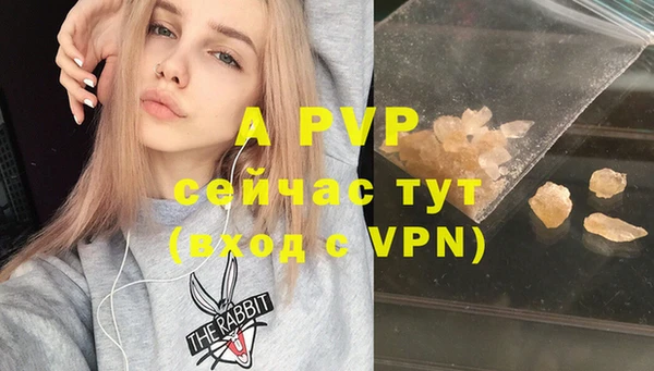 PSILOCYBIN Богородск