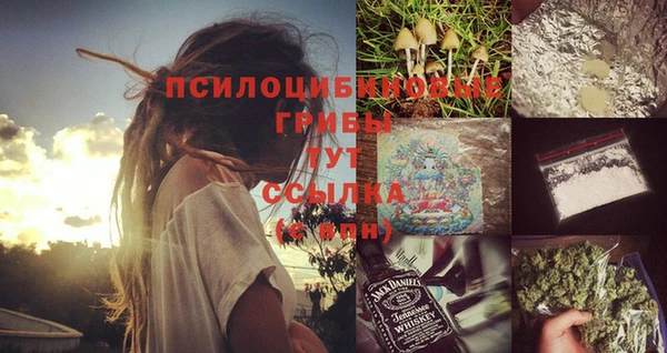 PSILOCYBIN Богородск