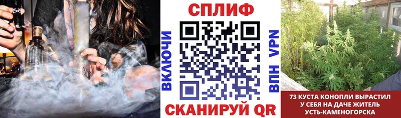 Бошки Шишки SATIVA & INDICA  Купить закладки  Буйнакск 